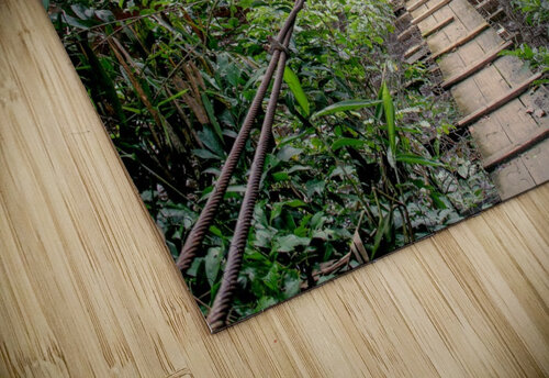 Bridge - VI Carlos Wood puzzle