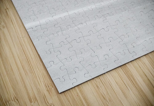 Boat - XXXV Carlos Wood puzzle