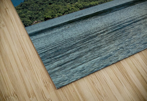 Nature -  XII Carlos Wood puzzle