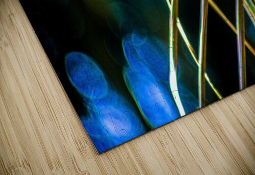 Nature - XVII Carlos Wood puzzle