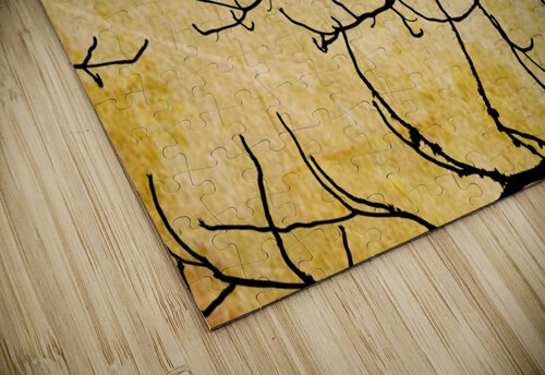 Nature - XVIII Carlos Wood puzzle