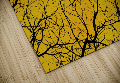 Nature - XIX Carlos Wood puzzle