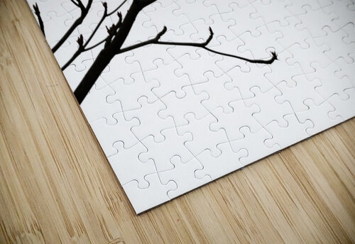 Nature - XXIII Carlos Wood puzzle