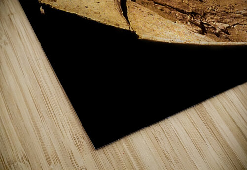 Boat - DIII Carlos Wood puzzle