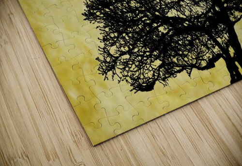 Nature - XLI Carlos Wood puzzle