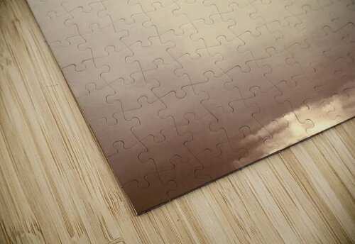 Reflex - LXI Carlos Wood puzzle