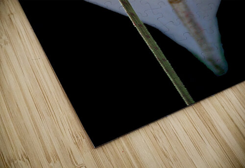 Boat - CXXVII Carlos Wood puzzle