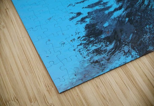 Reflex - VIII Carlos Wood puzzle