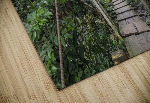 Bridge - XLI Carlos Wood puzzle