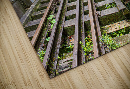 Bridge - XLII Carlos Wood puzzle