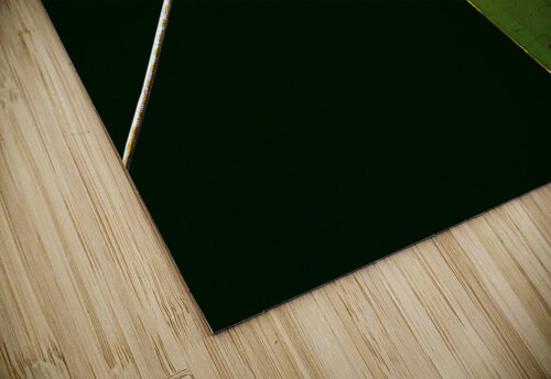 Boat - CLVI Carlos Wood puzzle