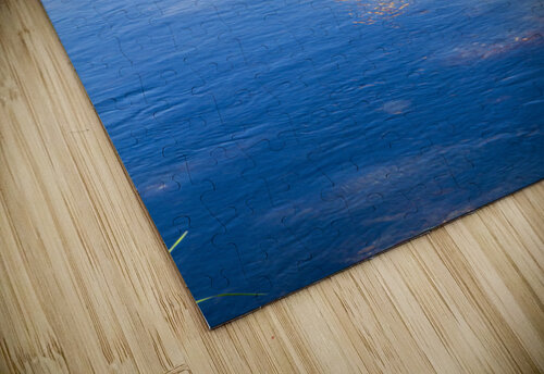 Reflex - XXXVII Carlos Wood puzzle