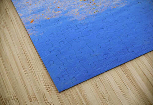 Reflex - XLII Carlos Wood puzzle