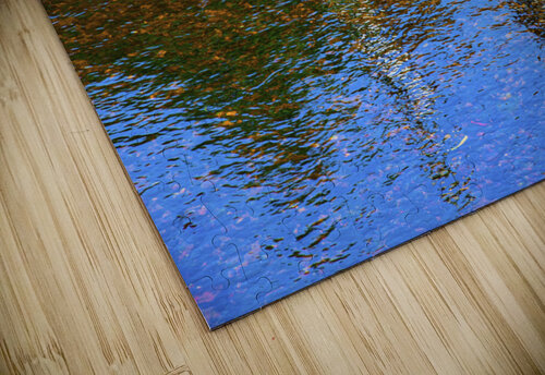 Reflex - XLIII Carlos Wood puzzle
