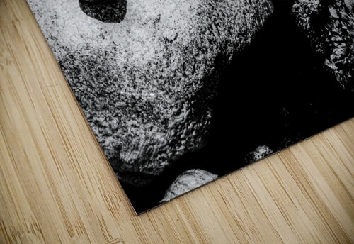 Reflex - XLIV Carlos Wood puzzle