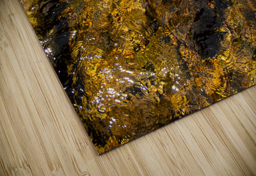 Reflex - XLVII Carlos Wood puzzle
