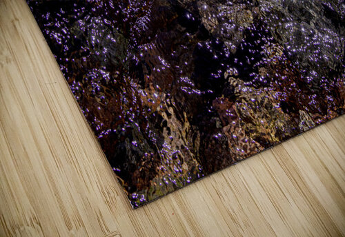 Reflex - XLVIII Carlos Wood puzzle