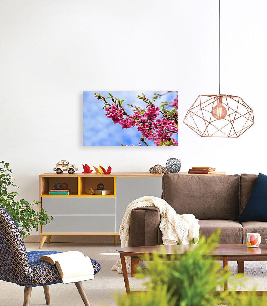 Nature - Cherry tree - XIII  Reproduction