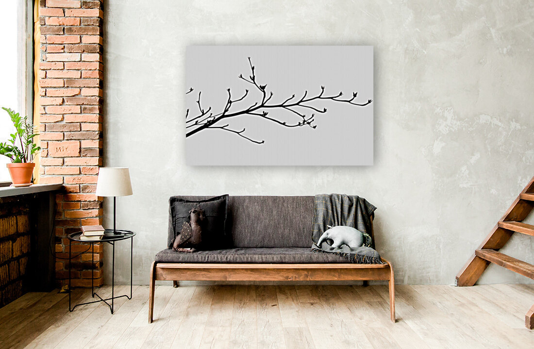 Nature - XXIII Reproduction