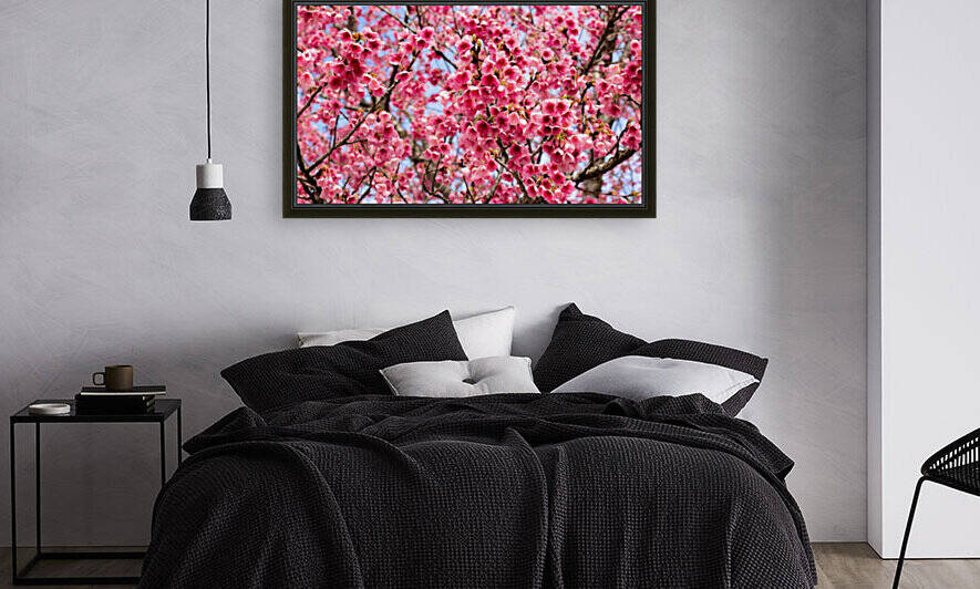 Nature - Cherry tree -XII Reproduction