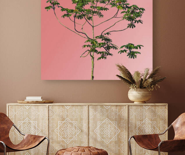 Nature - XIV Reproduction