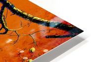 Nature - VIIIC HD Metal print