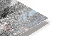 Nature - IX HD Metal print