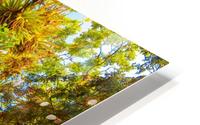 Nature - II HD Metal print