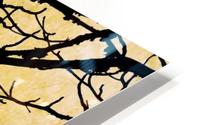 Nature - XVIII HD Metal print