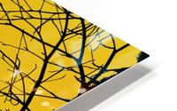 Nature - XIX HD Metal print