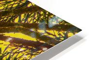 Nature - XXV HD Metal print
