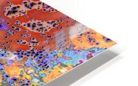 Reflex - XXVII HD Metal print