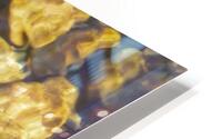 Reflex - XXXIV HD Metal print