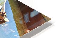 Boat - CXLI HD Metal print