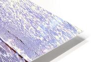 Nature - XLI HD Metal print