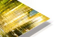 Reflex - XXXVII HD Metal print