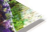 Reflex - XXXVIII HD Metal print