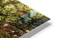 Reflex - XL HD Metal print