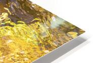 Reflex - XLI HD Metal print
