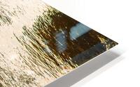 Reflex - XLIII HD Metal print