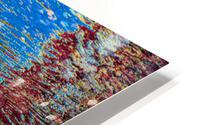 Reflex - XLIX HD Metal print