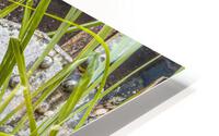 Bridge - XLV HD Metal print