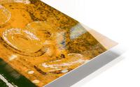 Boat - CCI HD Metal print