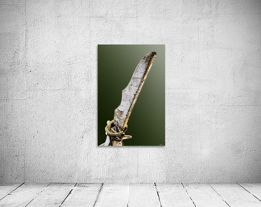 Boat - XVI Wall Preview