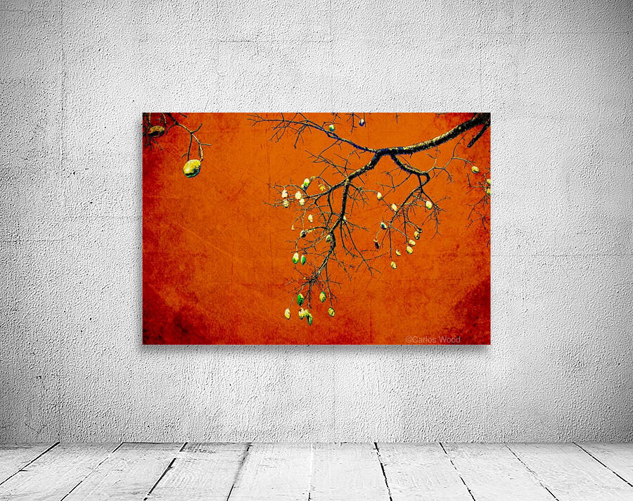 Nature - VIIIC Wall Preview