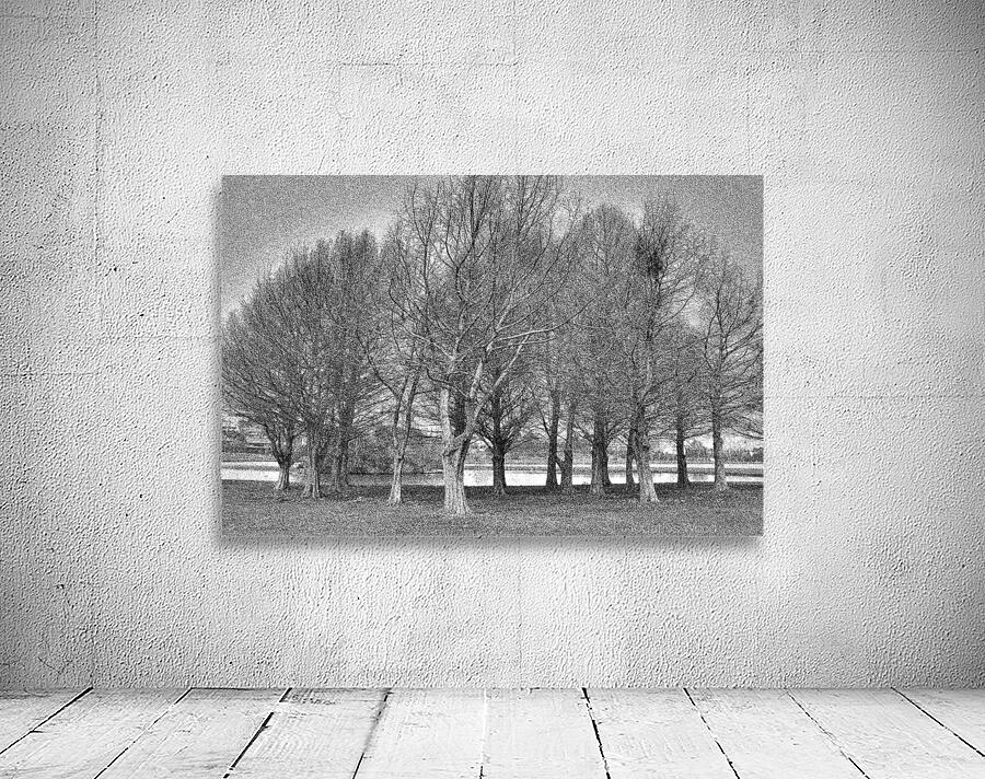 Nature - IX Wall Preview