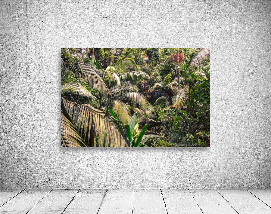 Nature - I Wall Preview