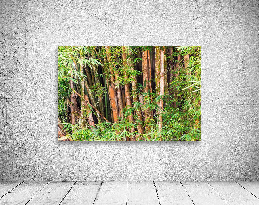 Nature - V Wall Preview