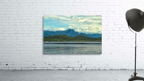 Nature -  XII Wall Preview