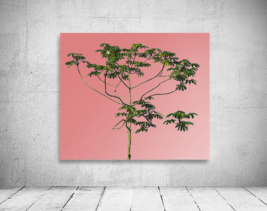 Nature - XIV Wall Preview